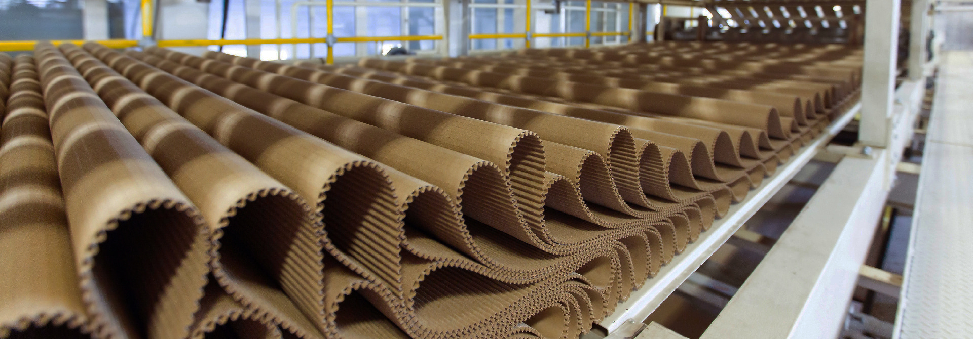 Paper & Cardboard Industry