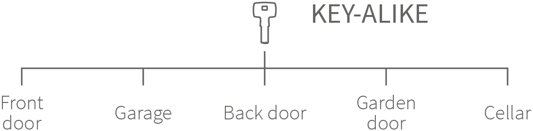 key alike system graphic