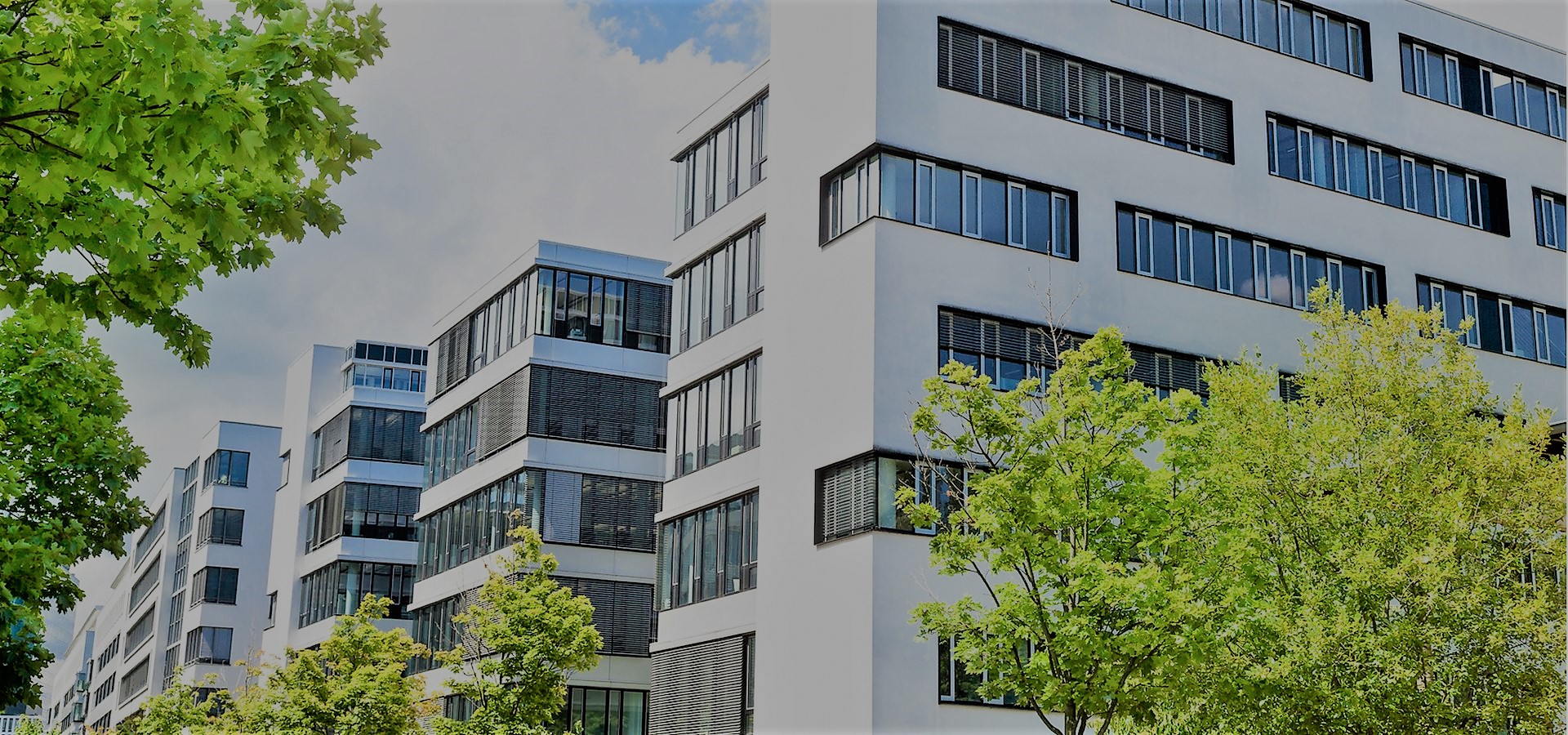 DOM Professional End users