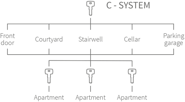 c-system graphic