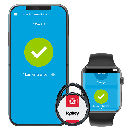 Smart lock and smartwatch