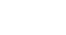 Logo Dény Security