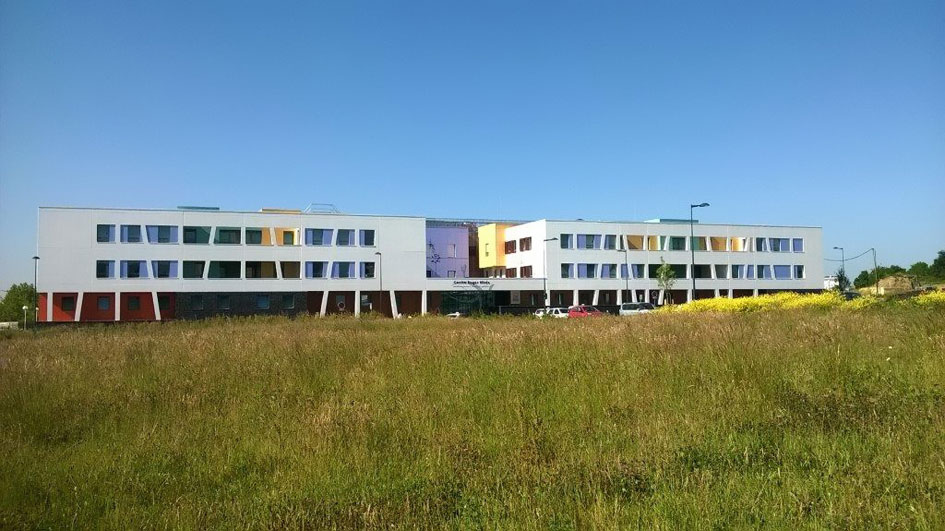 Security of Psychiatric hospitals