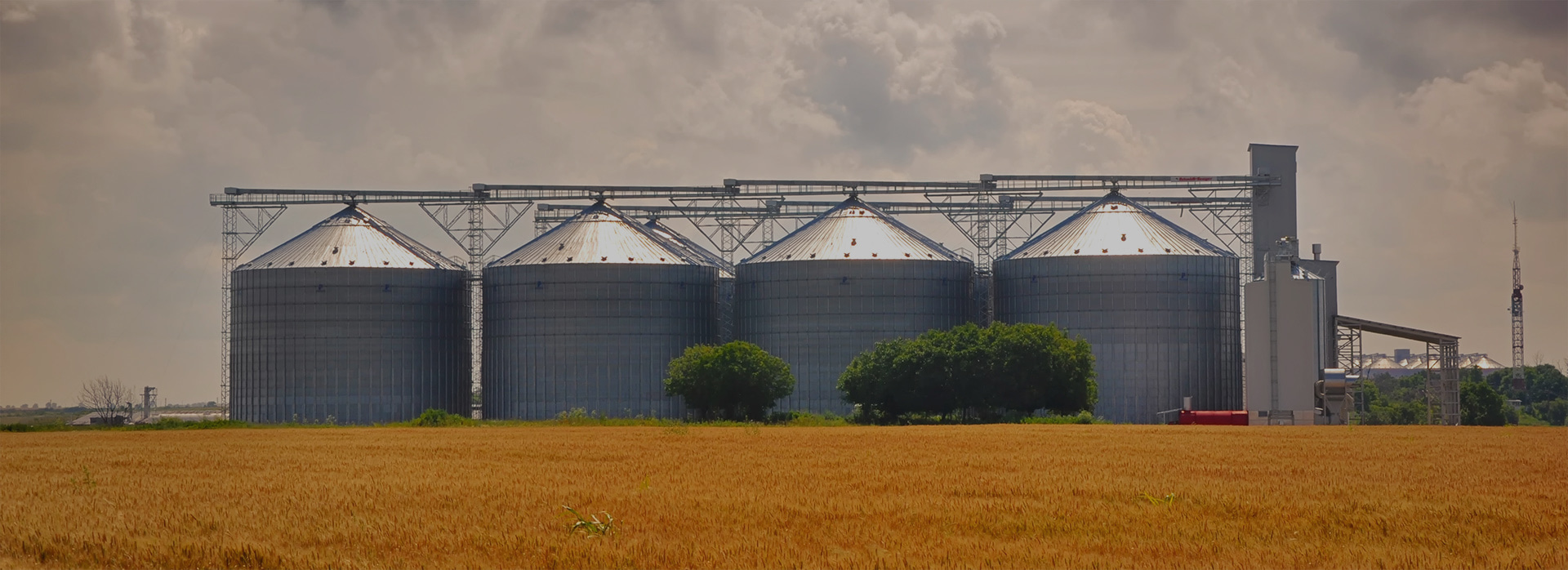 ventilateur process agricole