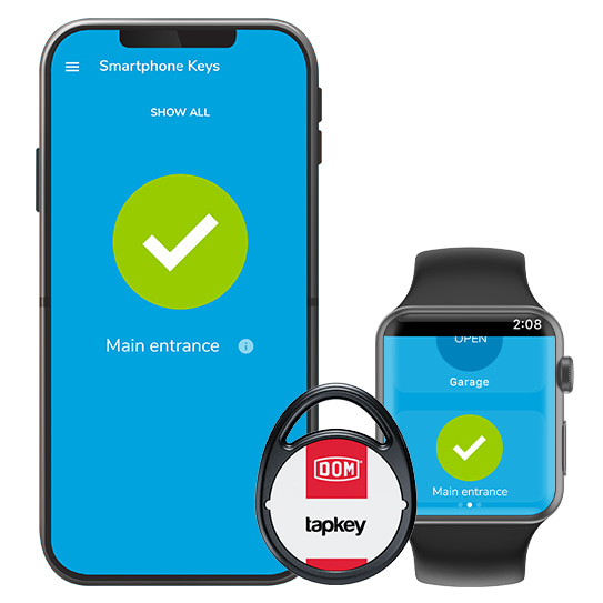 Smart lock and smartwatch