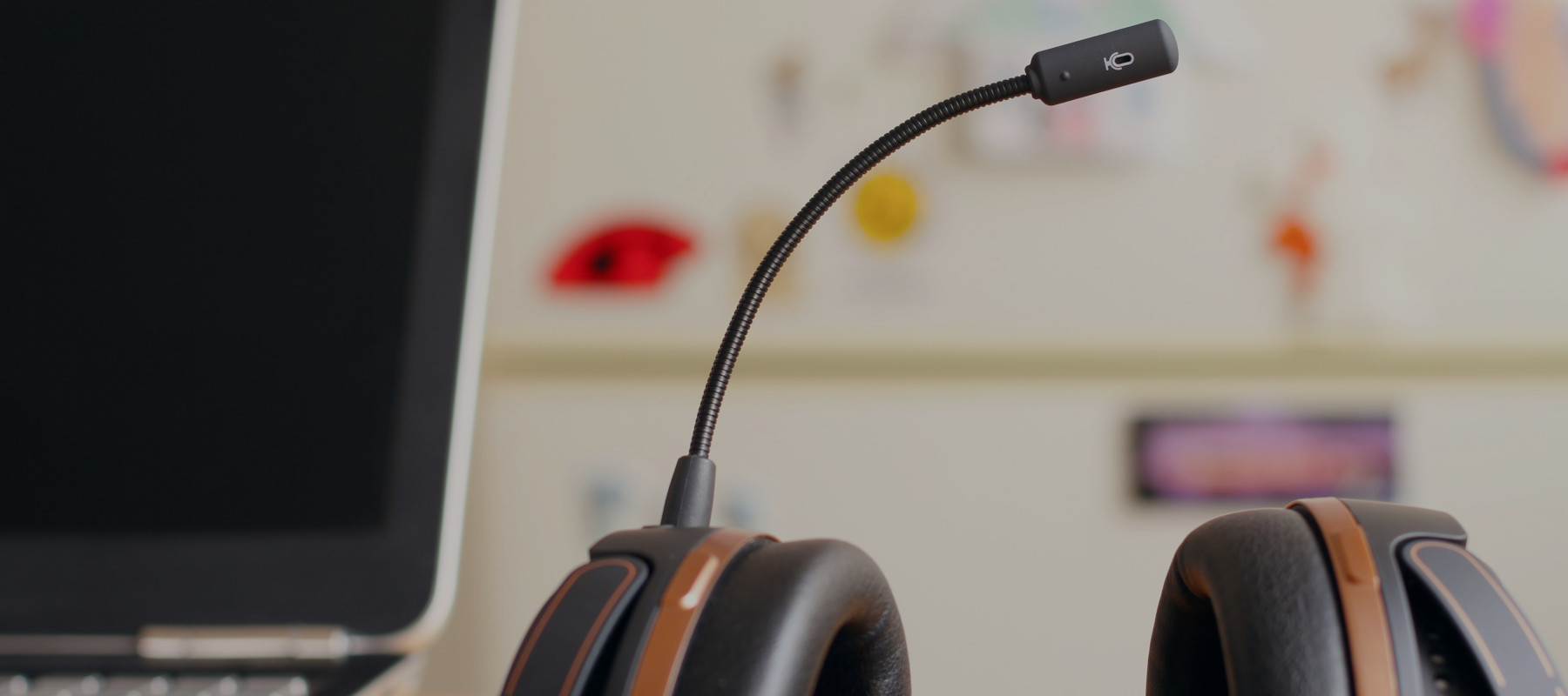 Headphones and computer
