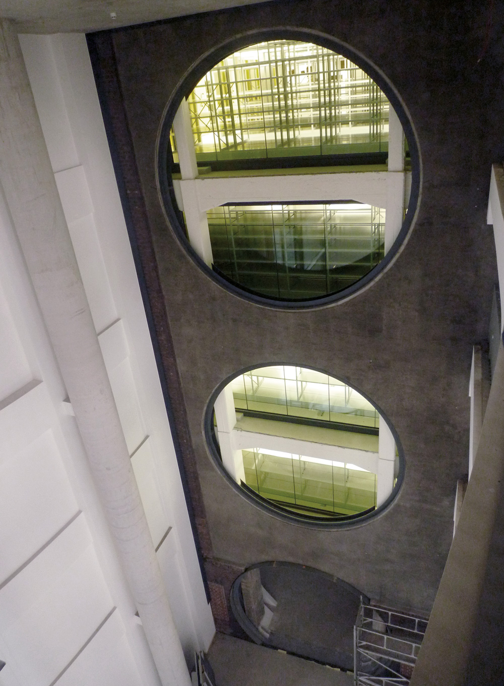 rhein lobby